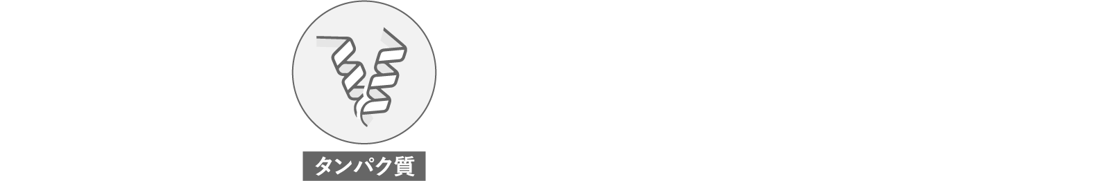 タンパク質