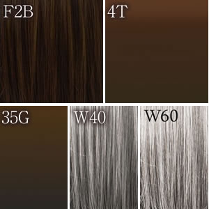 FONTAINE フルウィッグ 自然色（日本人の一般的な髪色）VM33-F2B(フル