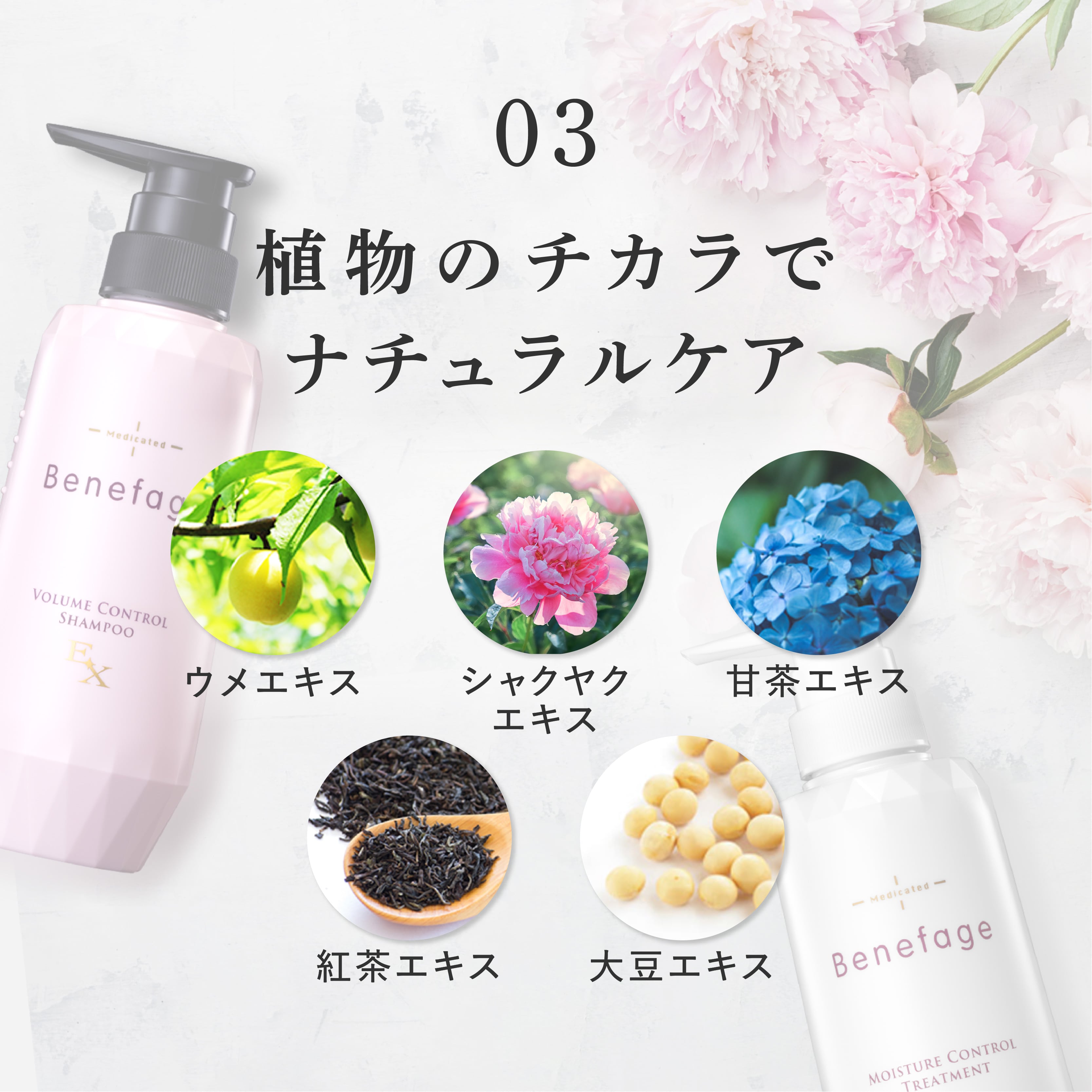 Benefage ベネファージュ 薬用ボリュームコントロールシャンプー 5個