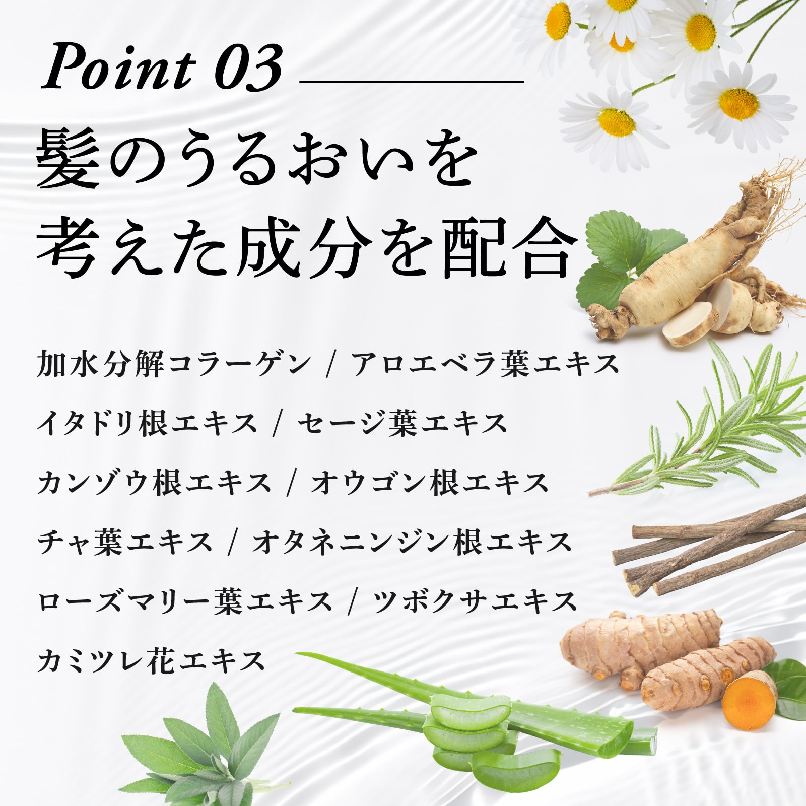 【アウトレット】スピードEプレミアム パウダー(ダークブラウン)