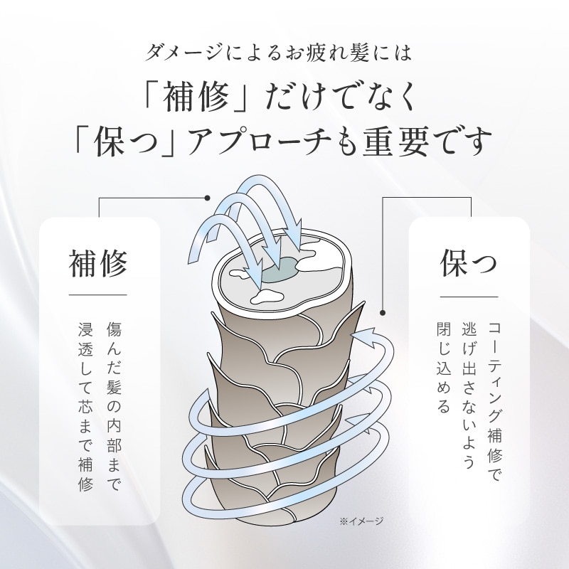 (定期)透明パック。