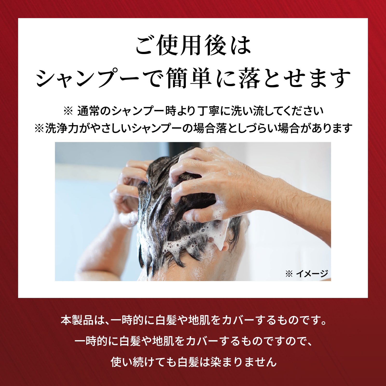 【アウトレット】スピードEプレミアム パウダー(ダークブラウン)