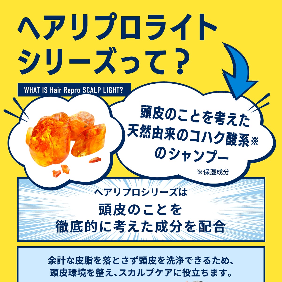 ヘアリプロスカルプライト シャンプーコンデショナー２点セット