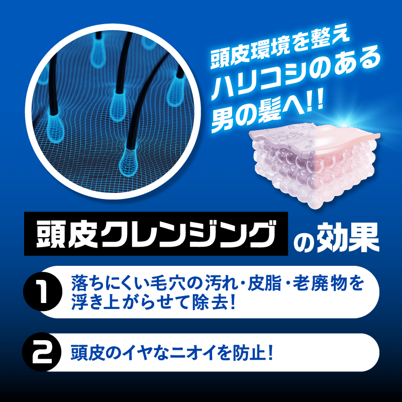 ヘアリプロ薬用スカルプクレンジング&シャンプー&コンディショナー3点セット(ノーマル&ドライ)