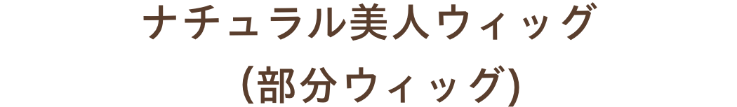 ウィッグ ナチュラル美人ウィッグ(部分ウィッグ)