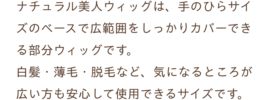 白髪隠しウィッグ ナチュラル美人ウィッグ