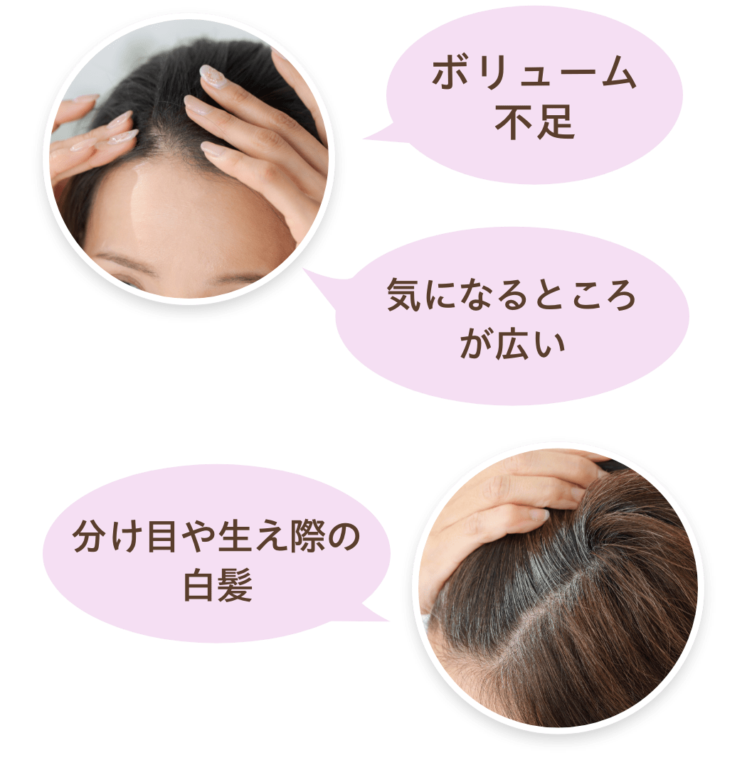 白髪隠しウィッグ ナチュラル美人ウィッグ