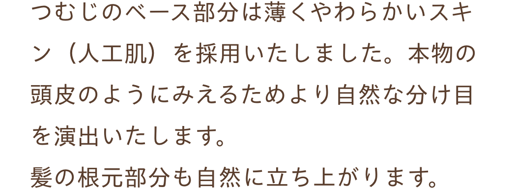 白髪隠しウィッグ ナチュラル美人ウィッグ
