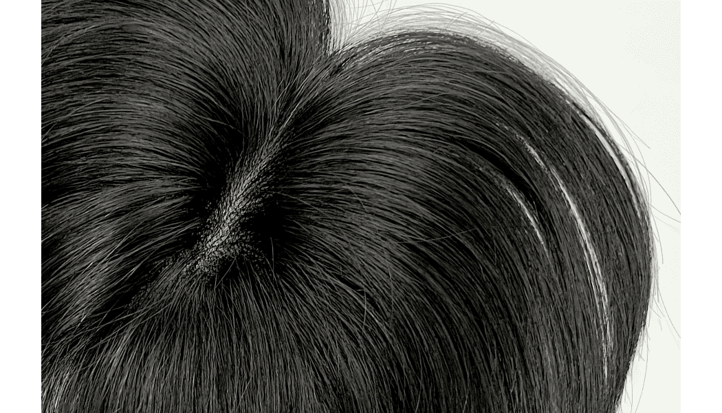 白髪隠しウィッグ ナチュラル美人ウィッグ