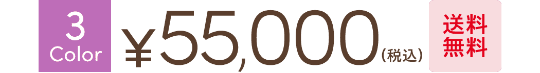 送料無料！￥55,000(税込)