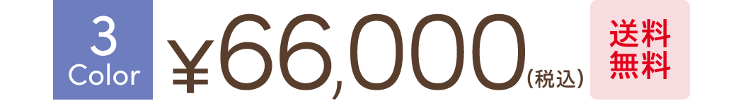 送料無料！￥55,000(税込)