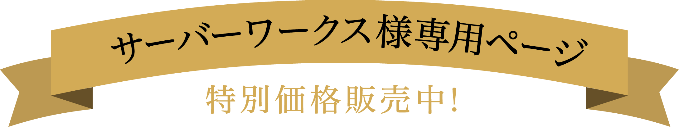 サイバーワークス様専用ページ