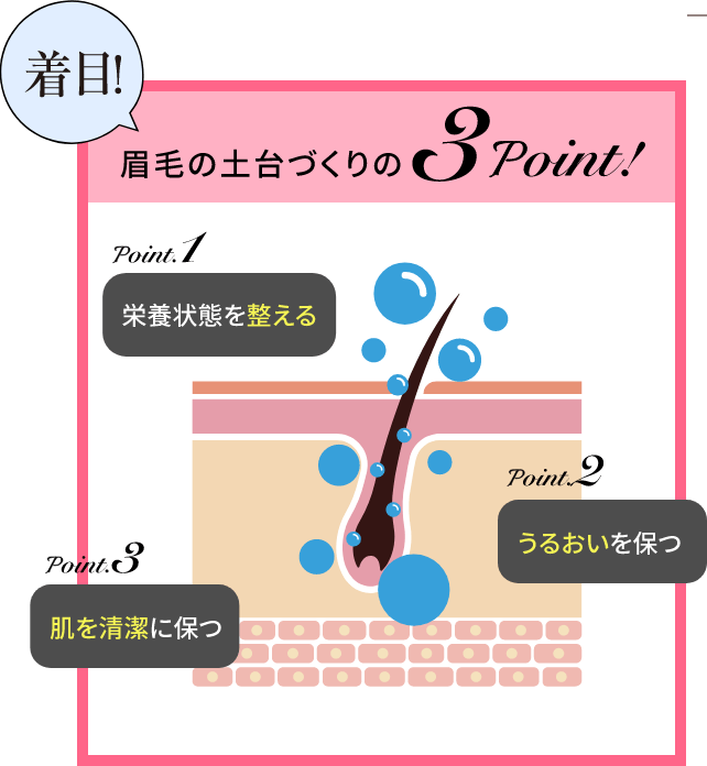 着目！眉毛の土台づくりの3Point!