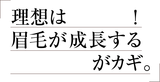 理想は1,300本！眉毛が成長する土台づくりがカギ。