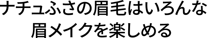 ナチュふさの眉毛はいろんな眉メイクを楽しめる