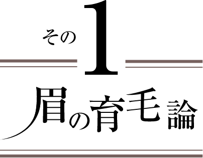 眉の育毛論 その1