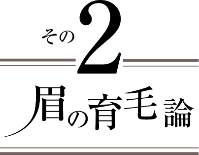 眉の育毛論 その2