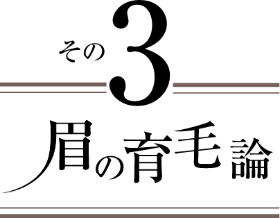 眉の育毛論 その3