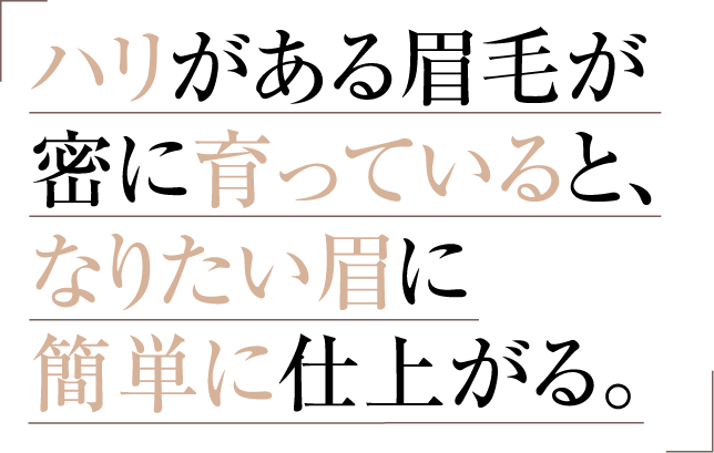 ハリがある眉毛が密に育っていると、なりたい眉に簡単に仕上がる。