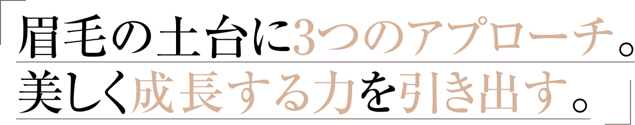 眉毛の土台に3つのアプローチ。美しく成長する力を引き出す。