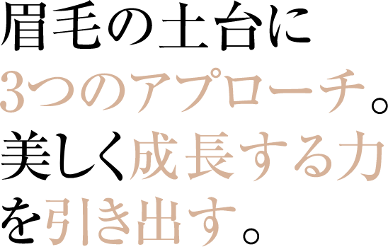 眉毛の土台に3つのアプローチ。美しく成長する力を引き出す。