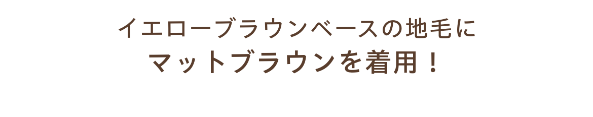 お出かけ前にさっと装着。気になる白髪・分け目をふんわり自然にカバー