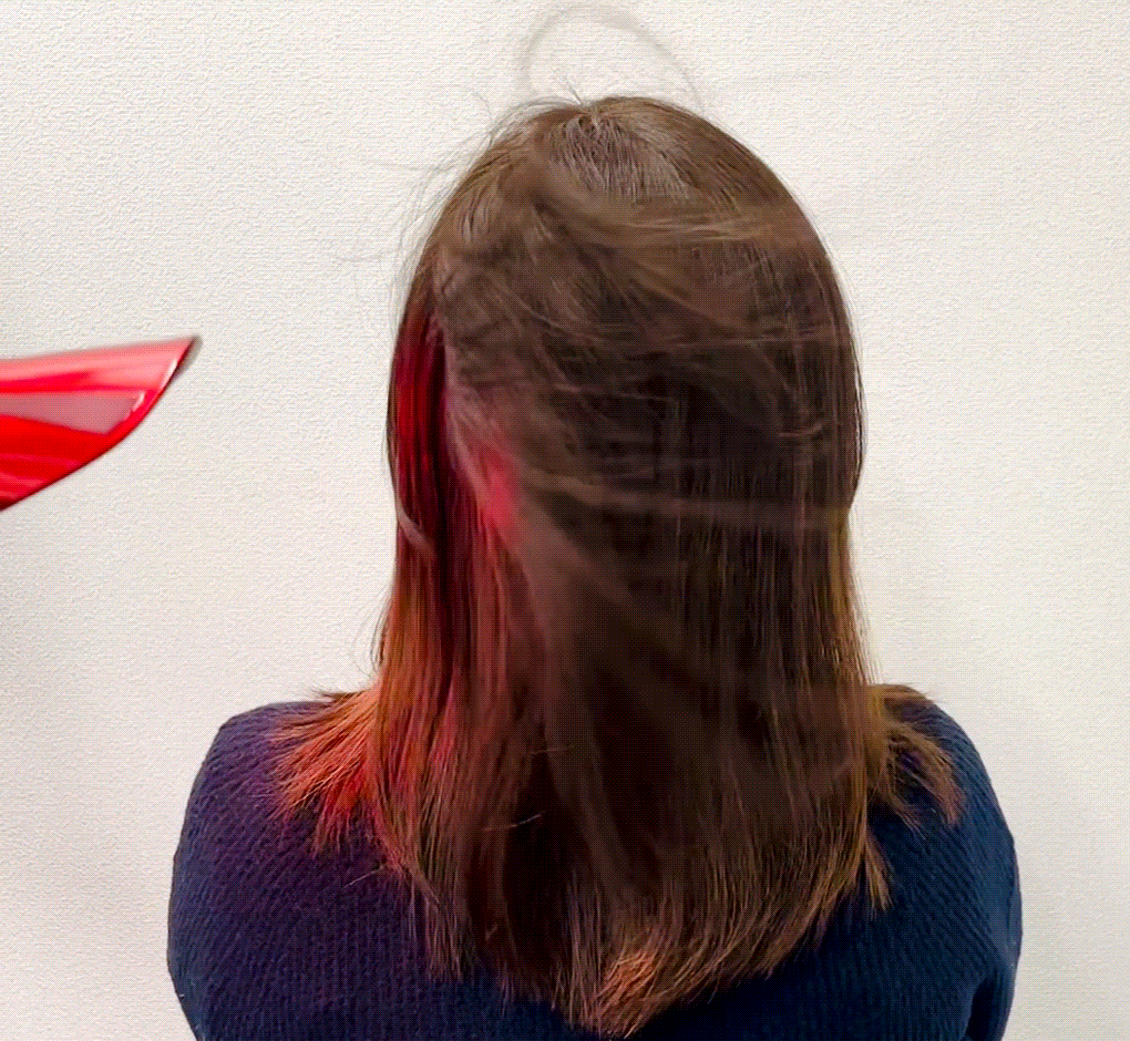 白髪隠しウィッグ ふわリッチ