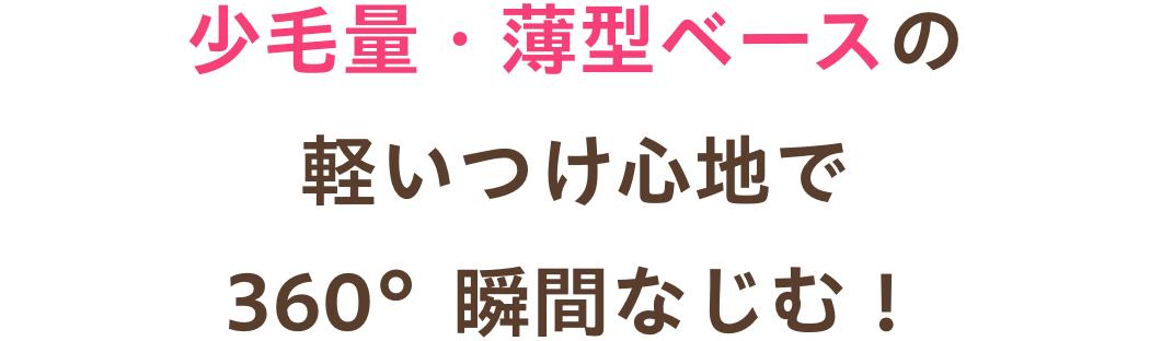 白髪隠しウィッグ ふわリッチ