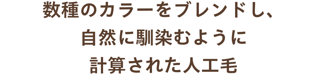 白髪隠しウィッグ ふわリッチ