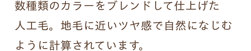 白髪隠しウィッグ ふわリッチ