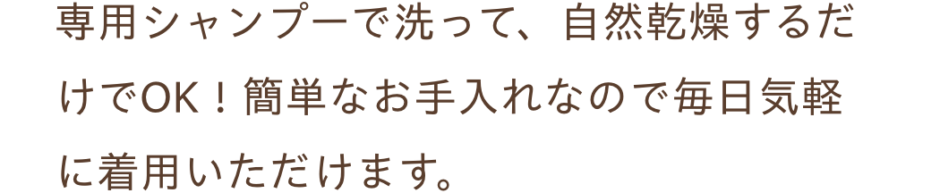 白髪隠しウィッグ ふわリッチ