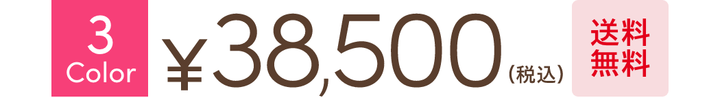 送料無料！￥38,500(税込)