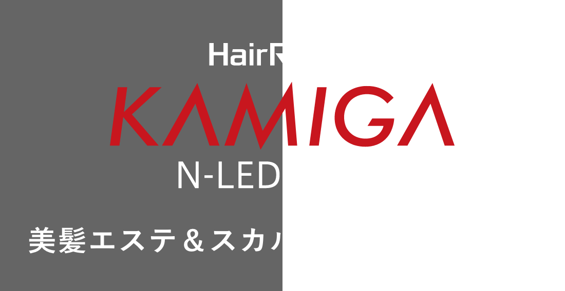 Hair Repro KAMIGA N-LED Sonic ヘア＆スカルプドライヤー｜アデランス