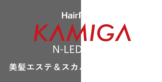 ヘアスカルプ&ドライヤー