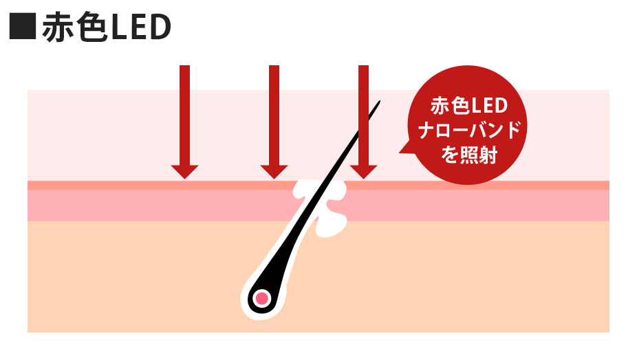 赤色LED