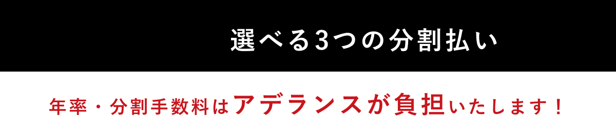 月々800円&sim; 選べる3つの分割払い