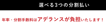 月々800円&sim; 選べる3つの分割払い