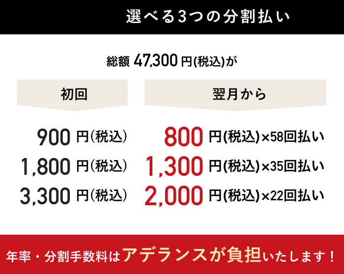 月々800円&sim; 選べる3つの分割払い