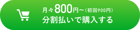 分割払いで購入する