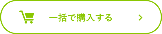 一括で購入する