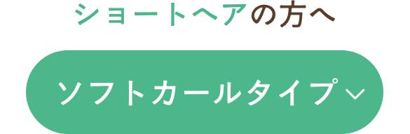 ソフトカールタイプ