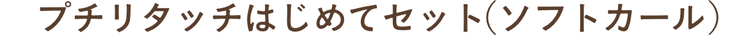 プチリタッチはじめてセット(ソフトカール)