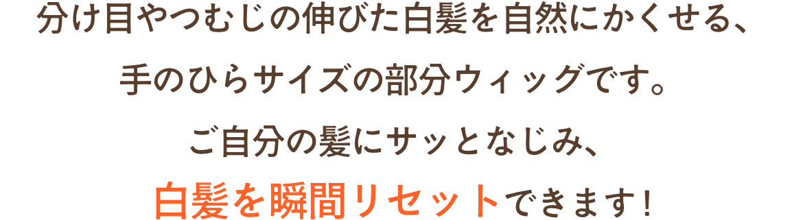 分け目やつむじの伸びた白髪を自然にかくせる、手のひらサイズの部分ウィッグです。ご自分の髪にサッとなじみ、白髪を瞬間リセットできます !