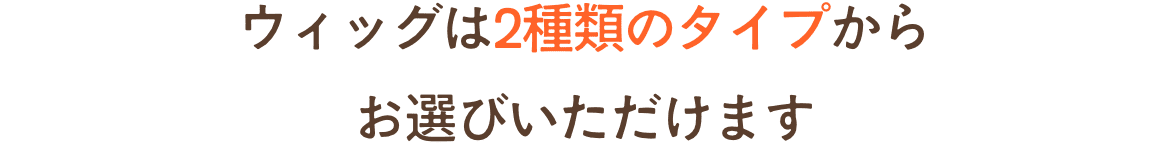 ウィッグは二つのタイプから選べます！