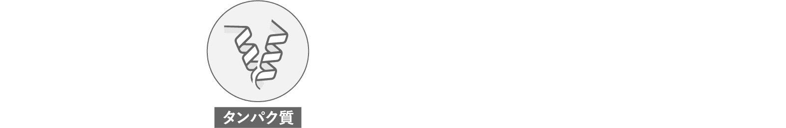 タンパク質