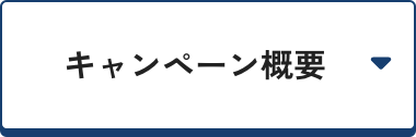 キャンペーン概要