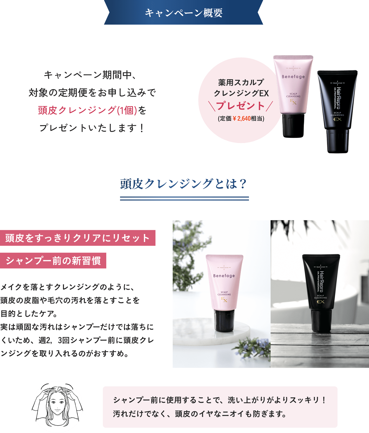キャンペーン概要